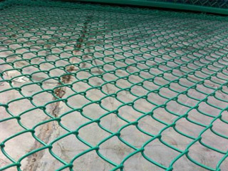 Ϳ�ܹ����W